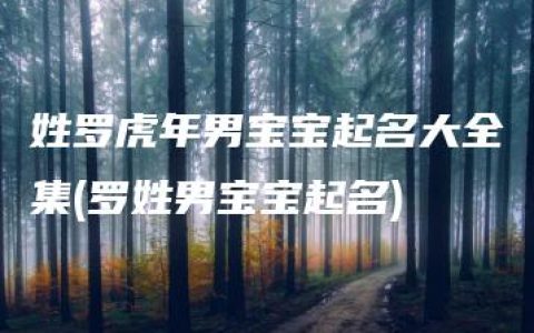 姓罗虎年男宝宝起名大全集(罗姓男宝宝起名)