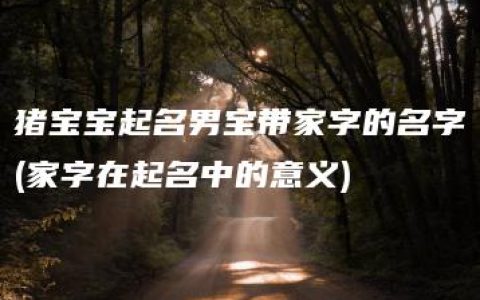 猪宝宝起名男宝带家字的名字(家字在起名中的意义)