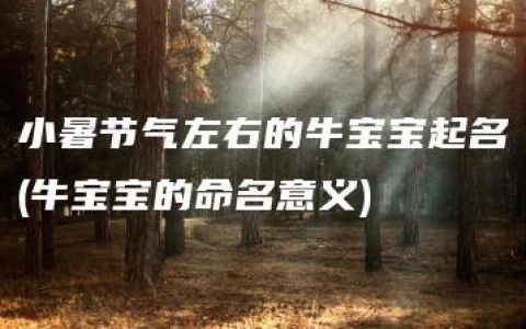 小暑节气左右的牛宝宝起名(牛宝宝的命名意义)