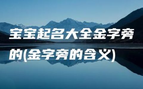 宝宝起名大全金字旁的(金字旁的含义)