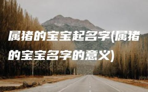 属猪的宝宝起名字(属猪的宝宝名字的意义)