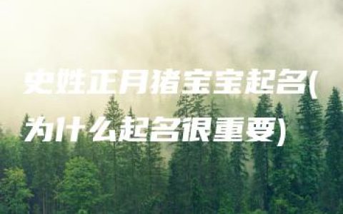 史姓正月猪宝宝起名(为什么起名很重要)