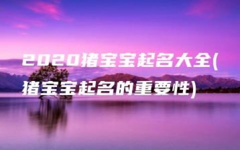 2020猪宝宝起名大全(猪宝宝起名的重要性)