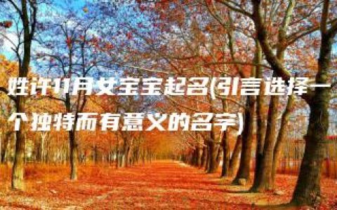 姓许11月女宝宝起名(引言选择一个独特而有意义的名字)