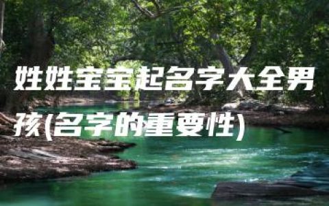 姓姓宝宝起名字大全男孩(名字的重要性)