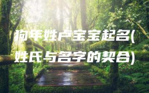 狗年姓卢宝宝起名(姓氏与名字的契合)