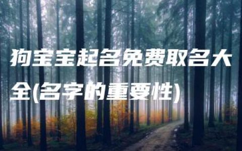 狗宝宝起名免费取名大全(名字的重要性)