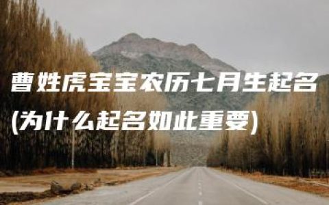 曹姓虎宝宝农历七月生起名(为什么起名如此重要)