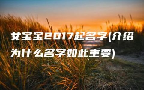 女宝宝2017起名字(介绍为什么名字如此重要)