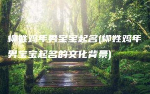 柳姓鸡年男宝宝起名(柳姓鸡年男宝宝起名的文化背景)