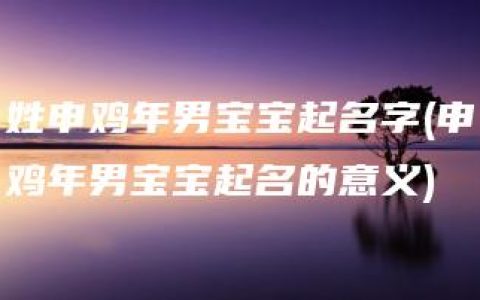 姓申鸡年男宝宝起名字(申鸡年男宝宝起名的意义)