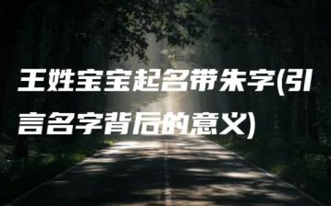 王姓宝宝起名带朱字(引言名字背后的意义)