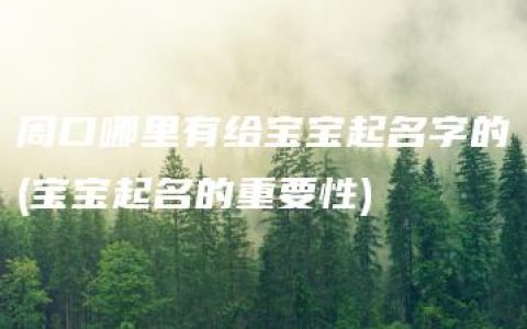 周口哪里有给宝宝起名字的(宝宝起名的重要性)