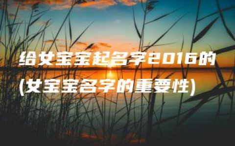 给女宝宝起名字2016的(女宝宝名字的重要性)