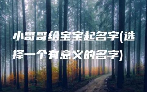 小哥哥给宝宝起名字(选择一个有意义的名字)