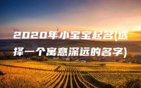 2020年小宝宝起名(选择一个寓意深远的名字)