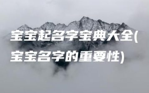 宝宝起名字宝典大全(宝宝名字的重要性)