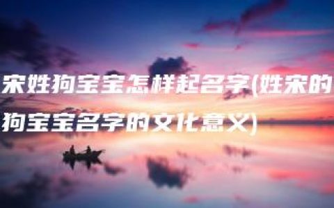 宋姓狗宝宝怎样起名字(姓宋的狗宝宝名字的文化意义)