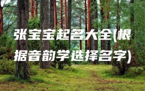 张宝宝起名大全(根据音韵学选择名字)