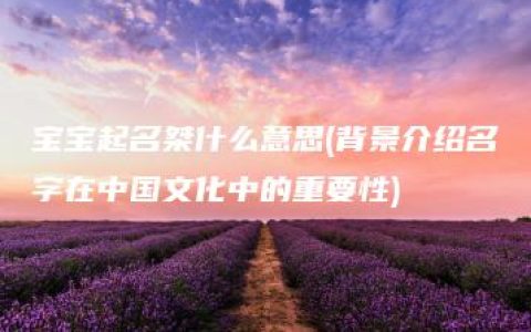 宝宝起名桀什么意思(背景介绍名字在中国文化中的重要性)