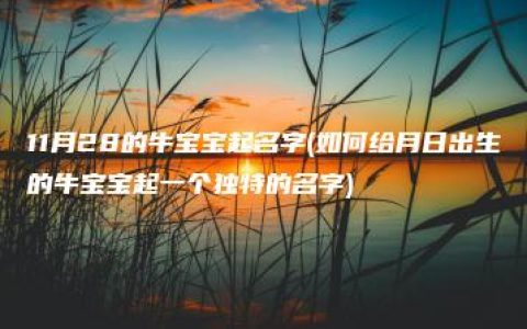 11月28的牛宝宝起名字(如何给月日出生的牛宝宝起一个独特的名字)