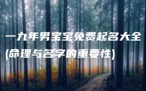 一九年男宝宝免费起名大全(命理与名字的重要性)