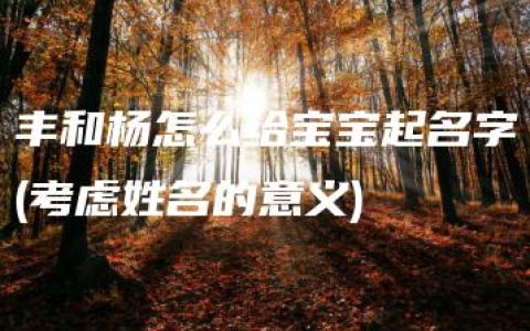 丰和杨怎么给宝宝起名字(考虑姓名的意义)