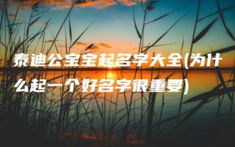 泰迪公宝宝起名字大全(为什么起一个好名字很重要)