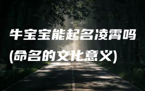 牛宝宝能起名凌霄吗(命名的文化意义)