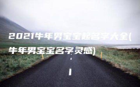 2021牛年男宝宝起名字大全(牛年男宝宝名字灵感)