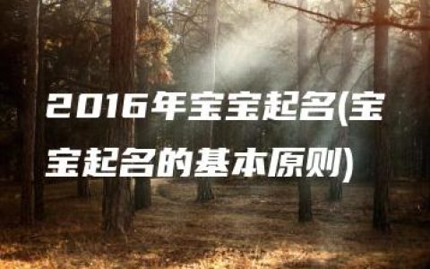 2016年宝宝起名(宝宝起名的基本原则)