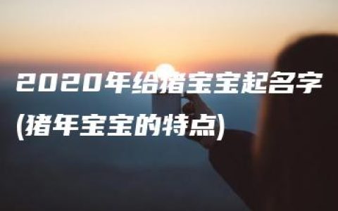 2020年给猪宝宝起名字(猪年宝宝的特点)