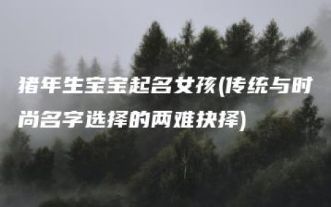 猪年生宝宝起名女孩(传统与时尚名字选择的两难抉择)