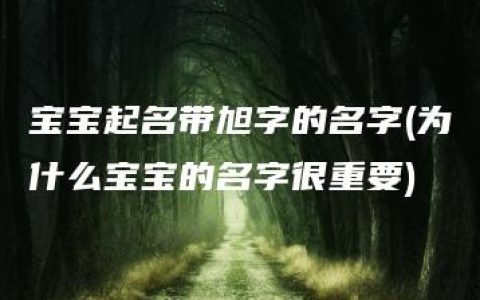 宝宝起名带旭字的名字(为什么宝宝的名字很重要)