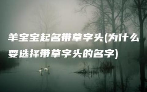 羊宝宝起名带草字头(为什么要选择带草字头的名字)