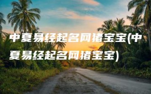 中夏易经起名网猪宝宝(中夏易经起名网猪宝宝)