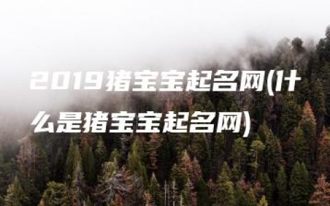 2019猪宝宝起名网(什么是猪宝宝起名网)