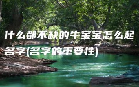 什么都不缺的牛宝宝怎么起名字(名字的重要性)