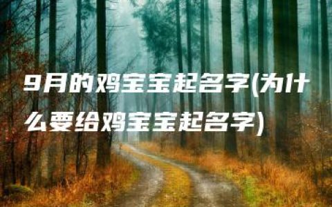 9月的鸡宝宝起名字(为什么要给鸡宝宝起名字)