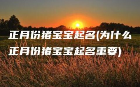 正月份猪宝宝起名(为什么正月份猪宝宝起名重要)