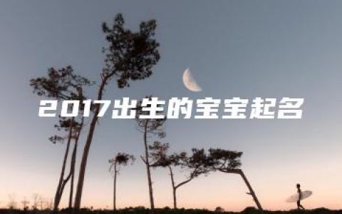 2017出生的宝宝起名