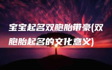 宝宝起名双胞胎带豪(双胞胎起名的文化意义)