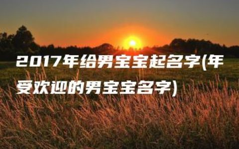 2017年给男宝宝起名字(年受欢迎的男宝宝名字)