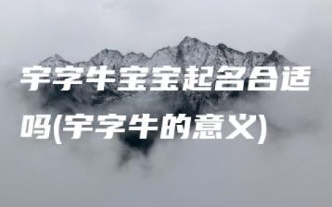 宇字牛宝宝起名合适吗(宇字牛的意义)