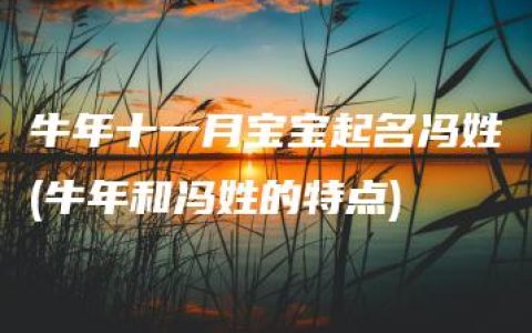 牛年十一月宝宝起名冯姓(牛年和冯姓的特点)