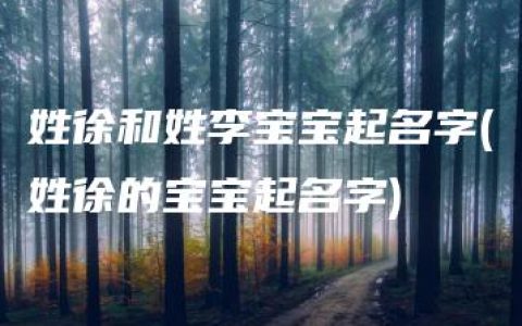 姓徐和姓李宝宝起名字(姓徐的宝宝起名字)