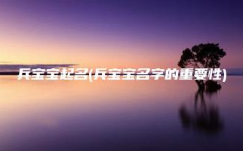 兵宝宝起名(兵宝宝名字的重要性)