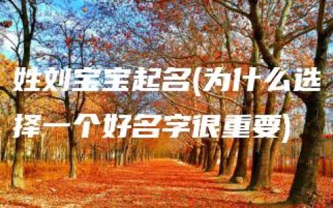 姓刘宝宝起名(为什么选择一个好名字很重要)