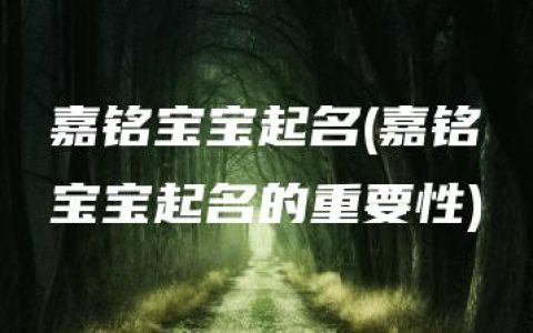 嘉铭宝宝起名(嘉铭宝宝起名的重要性)