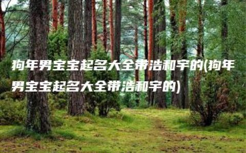 狗年男宝宝起名大全带浩和宇的(狗年男宝宝起名大全带浩和宇的)